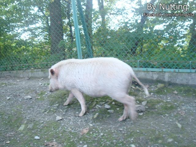 DSC04044.JPG